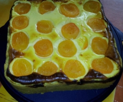 Käsekuchen mit Aprikosen
