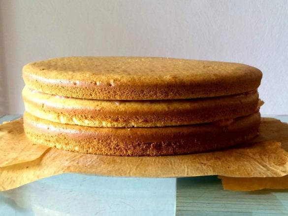 Biskuit (ideal für Schichtkuchen)