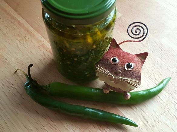 Grüne Chili Paste mit Brennnessel