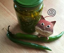 Grüne Chili Paste mit Brennnessel