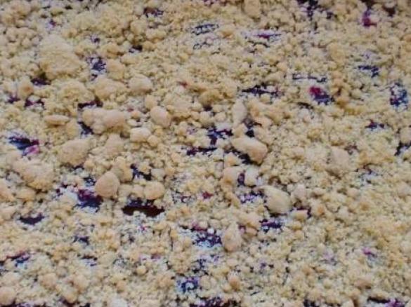 Pflaumen - Streusel Ruck Zuck