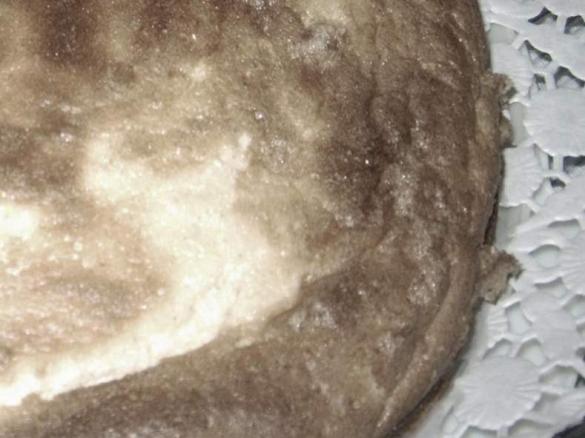 Quarkkuchen ohne Boden