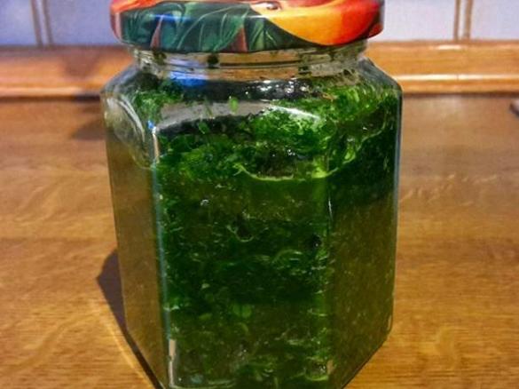 Koriander-Grundstock