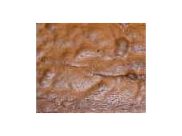 Gewürzkuchen vom Blech (ca. 35x40)