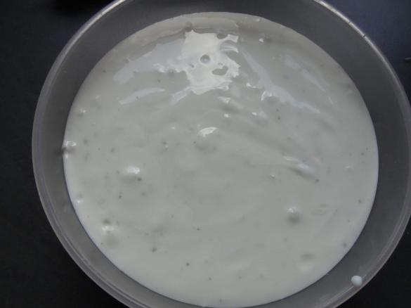 Jogurtsoße für Döner und Gyros etc.