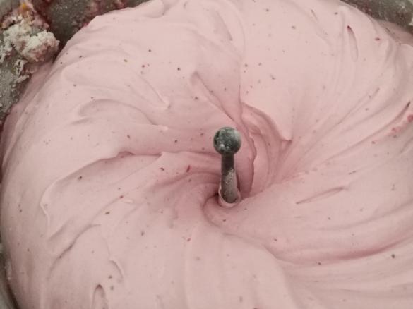 Protein Fluff Nachtisch ohne Kohlenhydrate no-carb