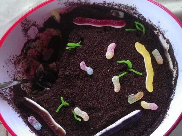 Variation von Blumenerde mit Erdbeeren