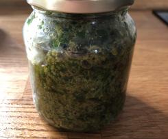 Rucola Haselnuss Pesto