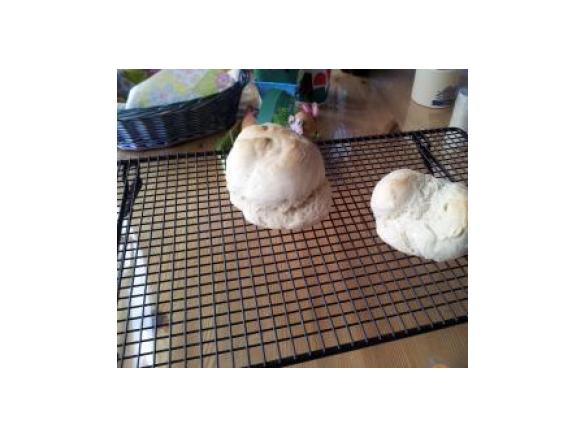 Variation von Helle Weizenbrötchen