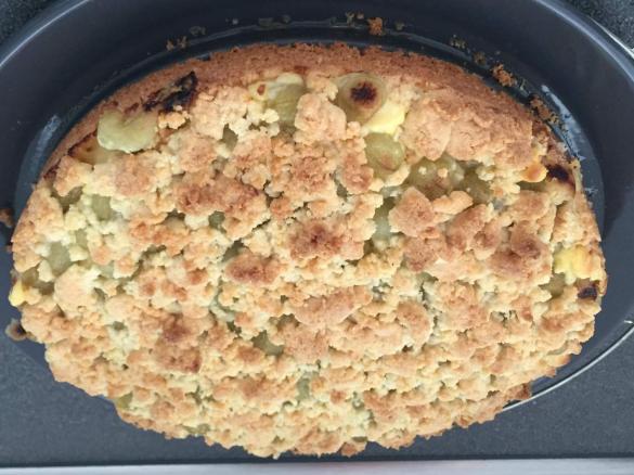 Stachelbeerstreuselkuchen mit Vanillecreme - Dr. Oetker