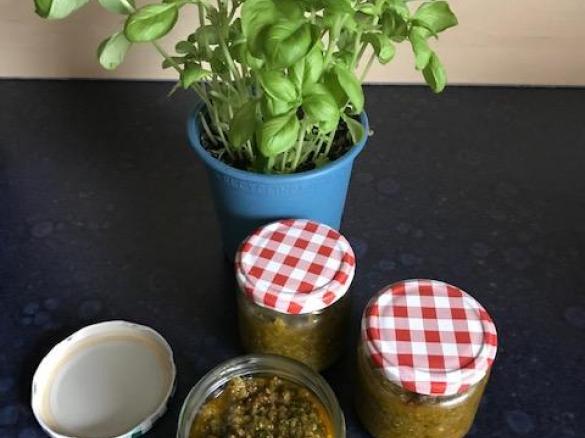 Tomaten-Basilikum-Pesto