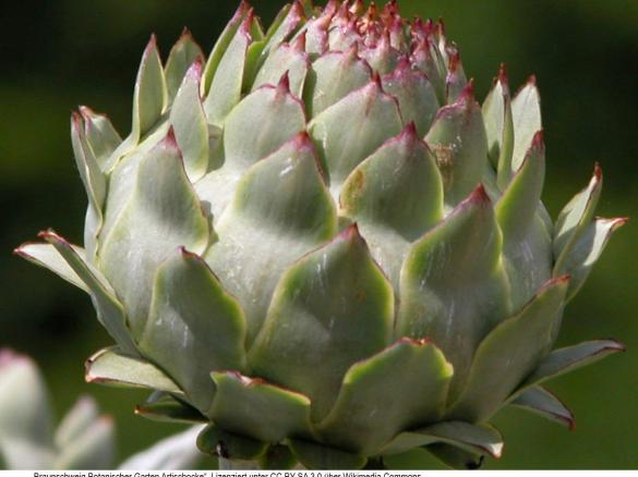 Artischocken Dip mit Feta