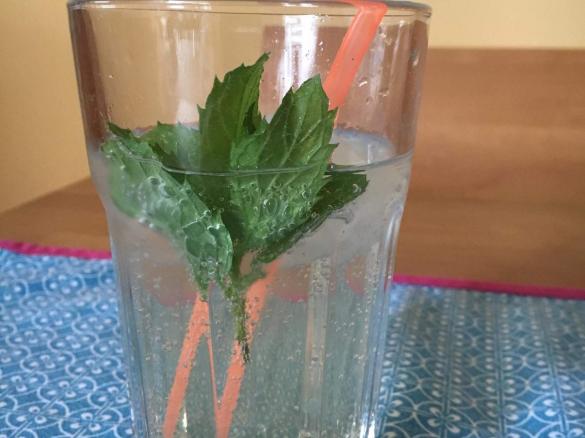 Eisteekonzentrat "Grüntee-Pfefferminz-Ingwer-Holunderblüte"