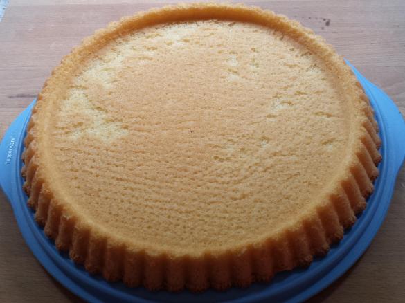 Biskuit / 28er Tortenboden / Obstboden