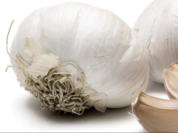 Knoblauch Bombe by Babs