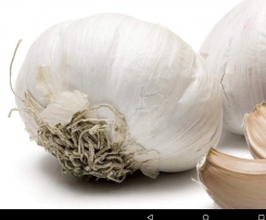 Knoblauch Bombe by Babs