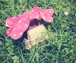 Erdbeer-Kokos Sauce/Marmelade