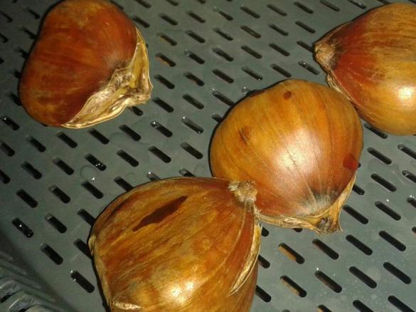 Maronen/Esskastanien aus dem Varoma