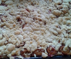 Variation von Aachener Streuselbrötchen als Blechkuchen mit Zwetschgen