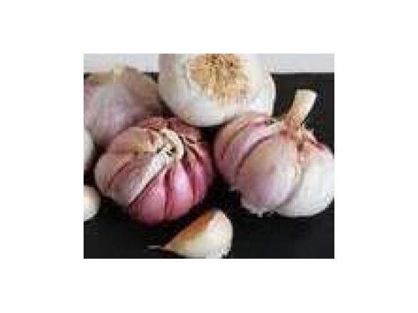 Spanische Knoblauchsuppe! einfach  - lecker - geruchsarm