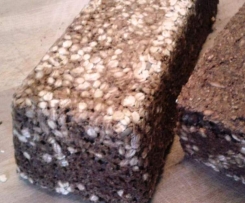 Roggen-Vollkorn-Brot