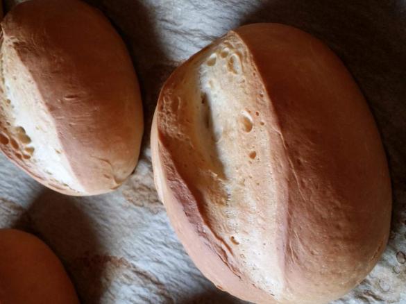 Brötchen wie vom Bäcker