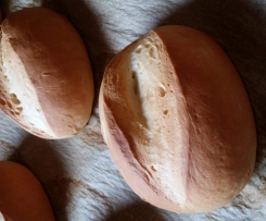 Brötchen wie vom Bäcker