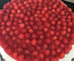 Himbeer-Joghurt-Torte