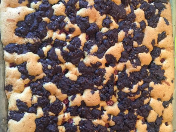 Thüringer Maulwurfkuchen mit Kirschen