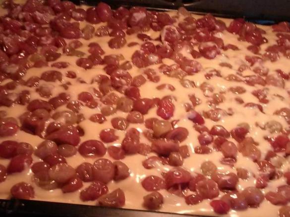 Obstblechkuchen mit Puddingcreme vegan