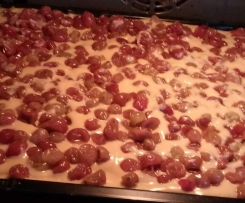 Obstblechkuchen mit Puddingcreme vegan