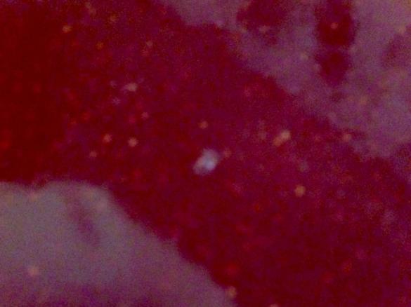 Erdbeermarmelade - schnell und einfach -