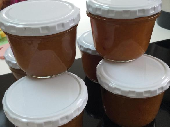 Mirabellen Marmelade mit Vanille