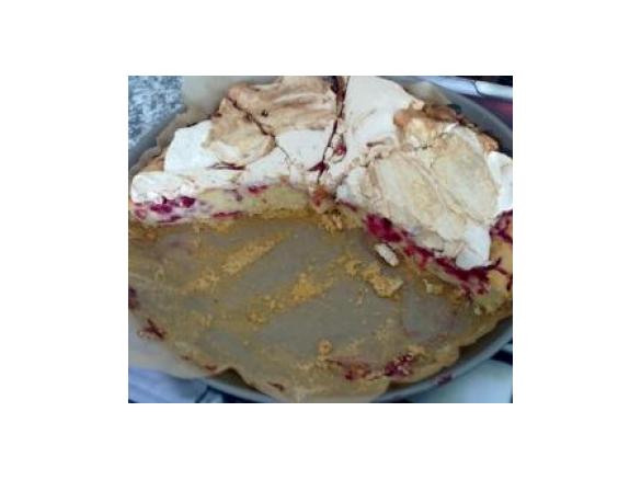 Johannisbeer-Kokos-Kuchen groß