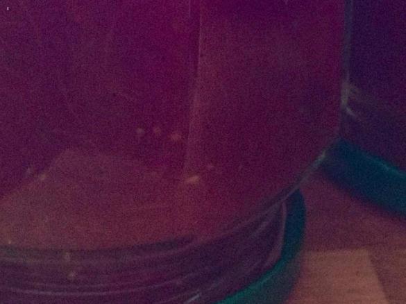 Lavendel-Erdbeer-Rhabarber-Konfitüre an Orangenlikör