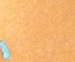 Tomatensoße, griechische Art