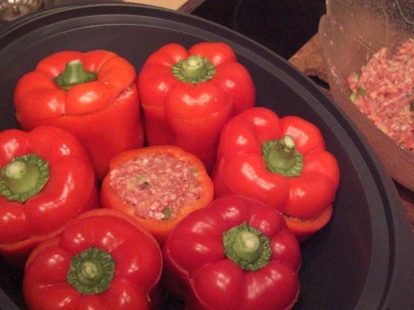 Gefüllte Paprika, mit Tomatensauce