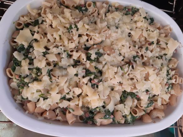 Nudelauflauf mit Spinat