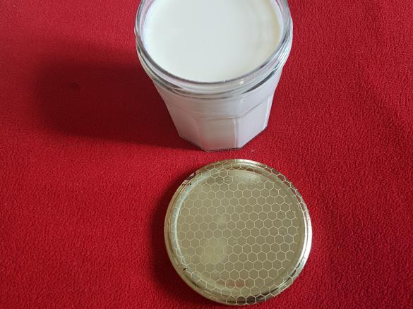 Griechischer Naturjoghurt TM 31