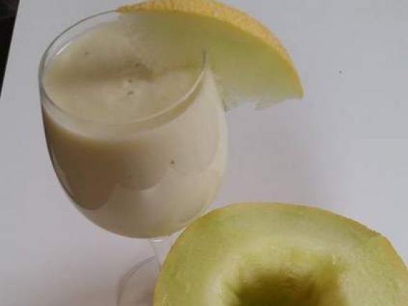 Galia Exotica-Smoothie