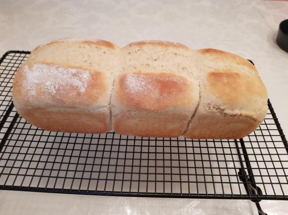 Dinkel-Toast (so lecker)