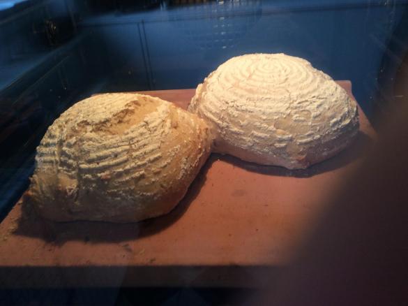 Dinkelbrot mit Brühstück (2 Brote a 750g)