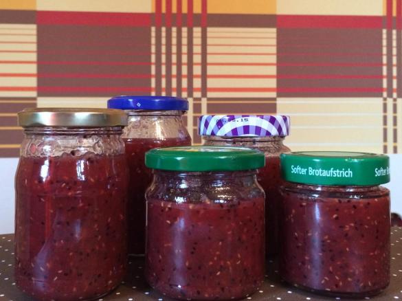 Kiwi-Himbeer-Marmelade
