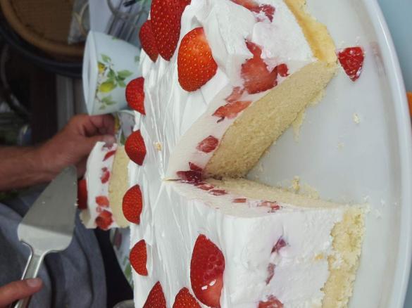 Erdbeer Quark Kuchen 