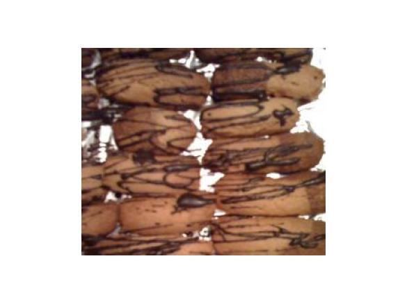 Butterplätzchen Simmerline  im Thermomix