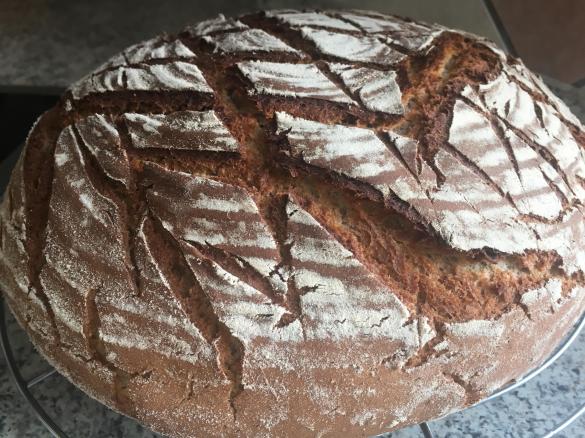 Sauerteigbrot trifft auf gemahlene Sonnenblumenkerne
