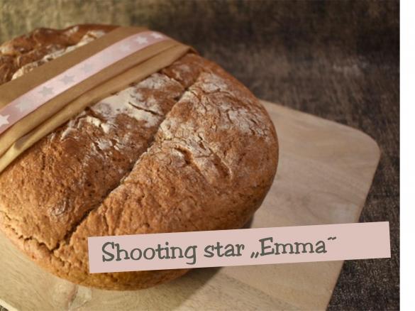 Shooting star "Emma"