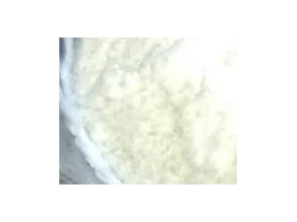 Tanjas leckerer Milchreis