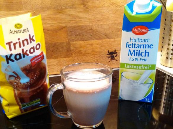 Leckere Eisschoklade Laktosefrei