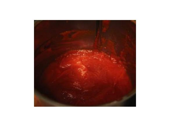 Tomaten-Ketchup ; super einfach & super lecker